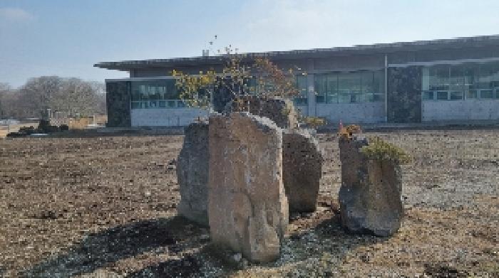 소재지1(교래리 781-15) 지상에 소재한 돌분재