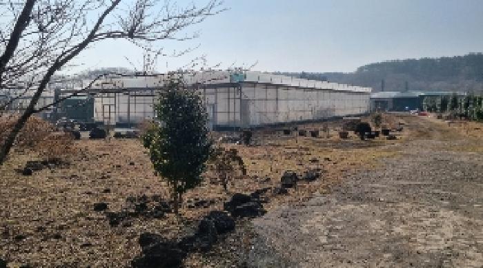 소재지3(교래리 산121-1) 전경