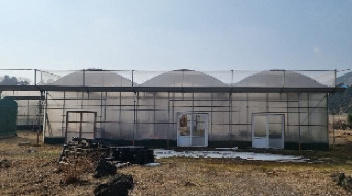 소재지3(교래리 산121-1) 지상에 소재한 철파이프조 비닐하우스 시설