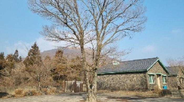 소재지6(교래리 781-13) 지상에 소재한 조경수