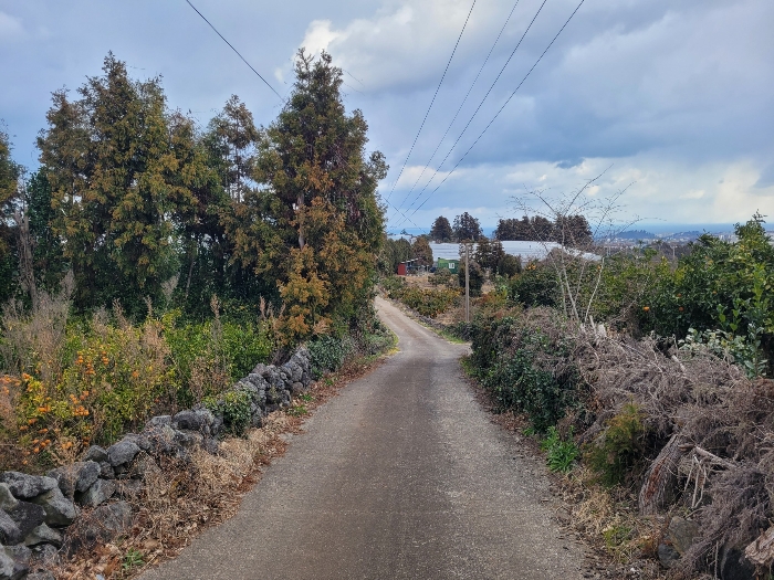 접면도로 및 주위환경