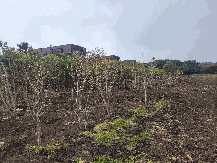 제시외물건 ㄱ)