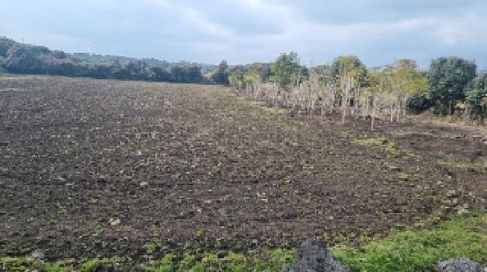 소재지1(수산리 3042-1) 전경1