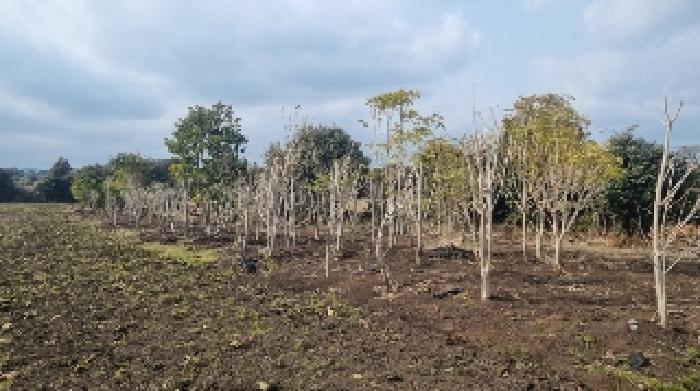 소재지1(수산리 3042-1) 전경2