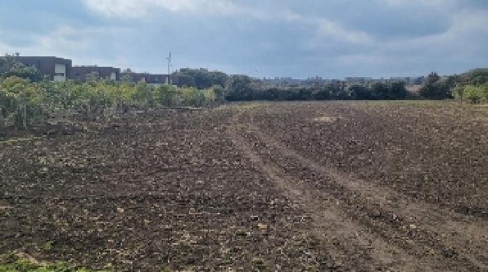 소재지2(수산리 3042-4) 전경1