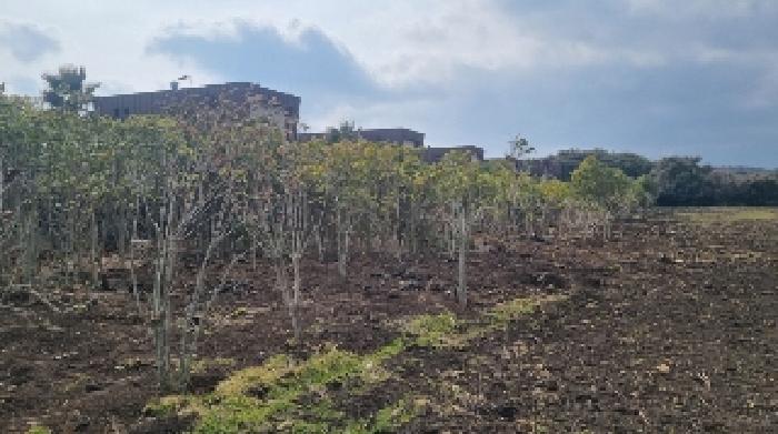 소재지2(수산리 3042-4) 전경2