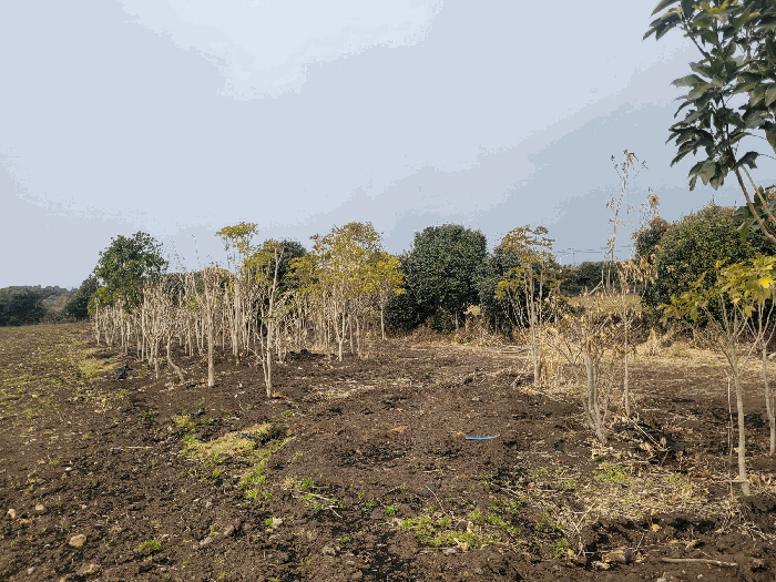 제시외물건 ㄱ)