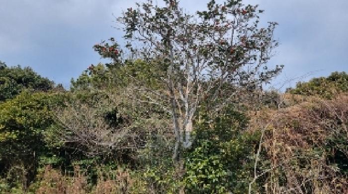 소재지1(신흥리 109-2) 전경