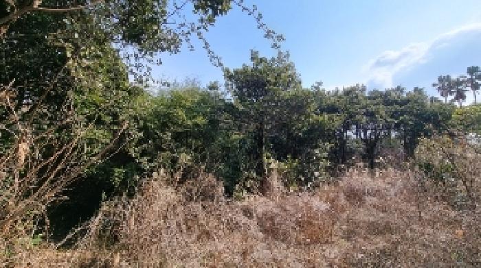 소재지2(신흥리 109-3) 전경1