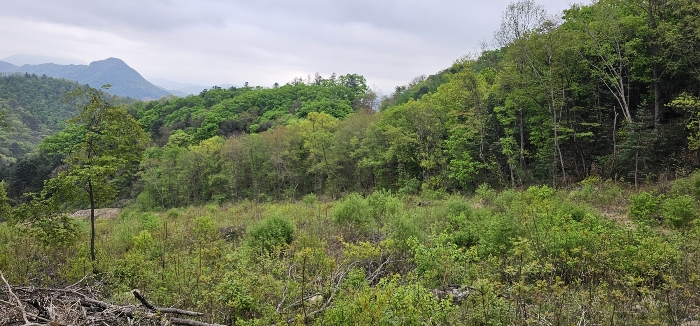 기호2,8,9토지(1)