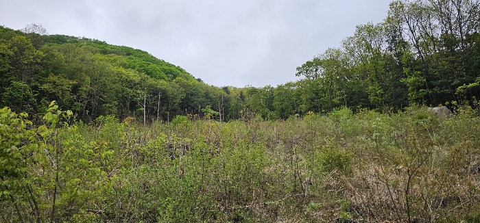 기호2,8,9,11토지