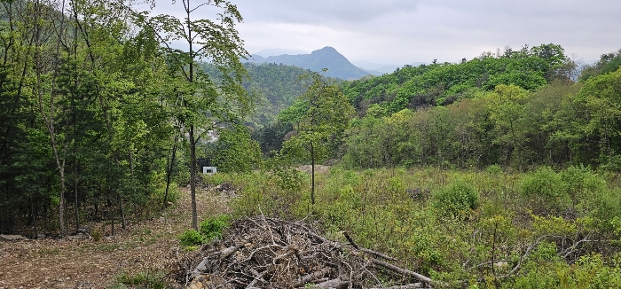 기호2,8,9토지(2)