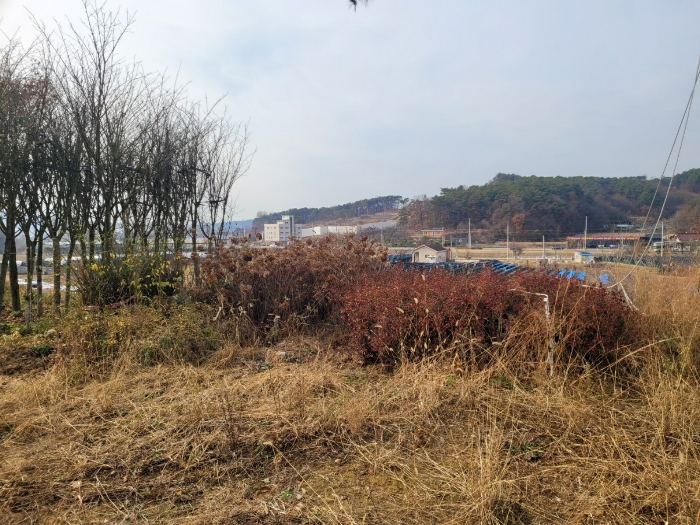 기호(1) 위 지상 조경수목