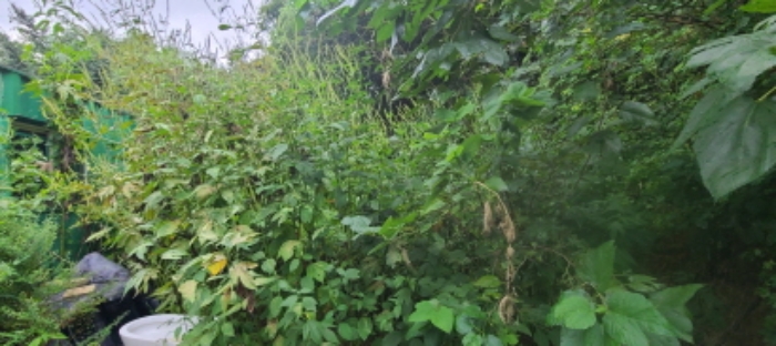 목록 2 토지 전경(1)