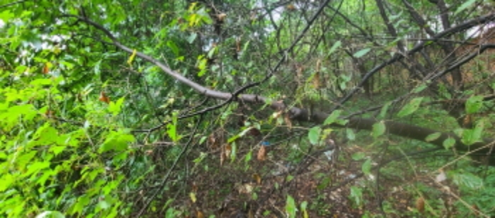 목록 1 토지 전경(3)