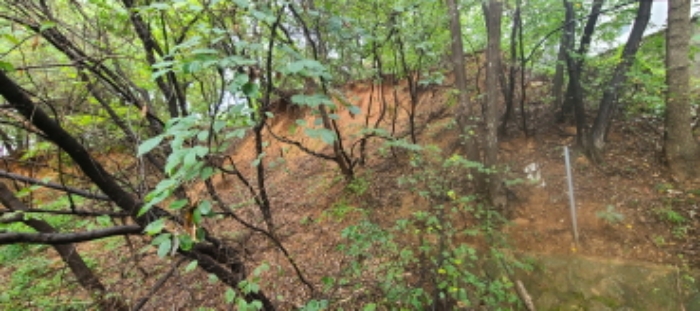 목록 1 토지 전경(4)