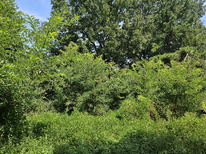 기호 1 전경
(동측에서 촬영)