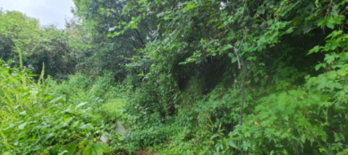 목록 2 토지 전경(2)