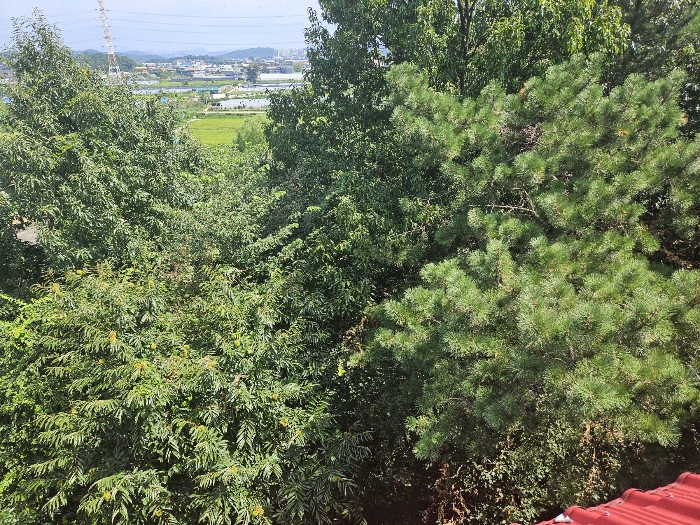 기호 1,3 전경
(남측 건물 옥상에서 촬영)