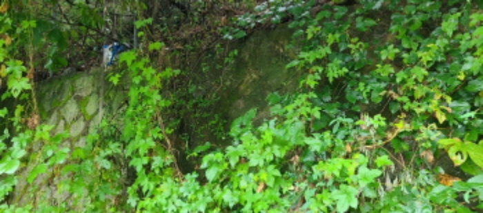 목록 2 토지 전경(3)