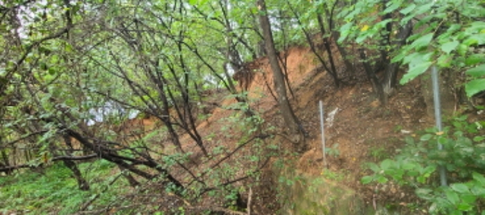 목록 1 토지 전경(5)