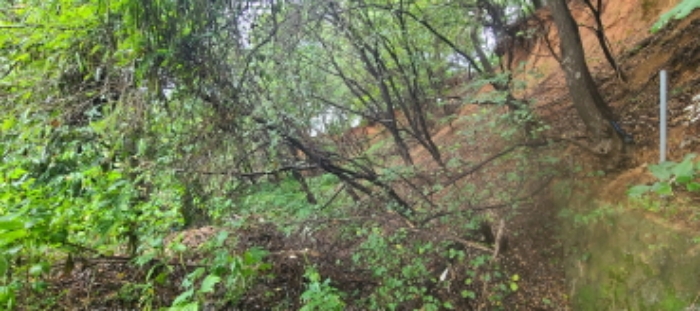 목록 1 토지 전경(1)