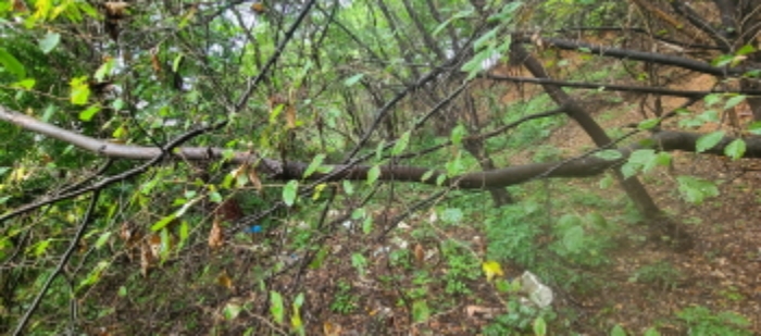 목록 1 토지 전경(2)