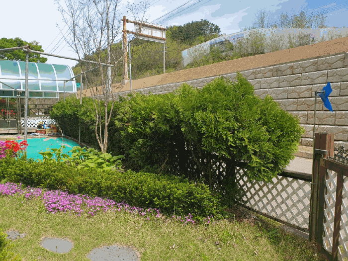 제시외 조경수(1-1)