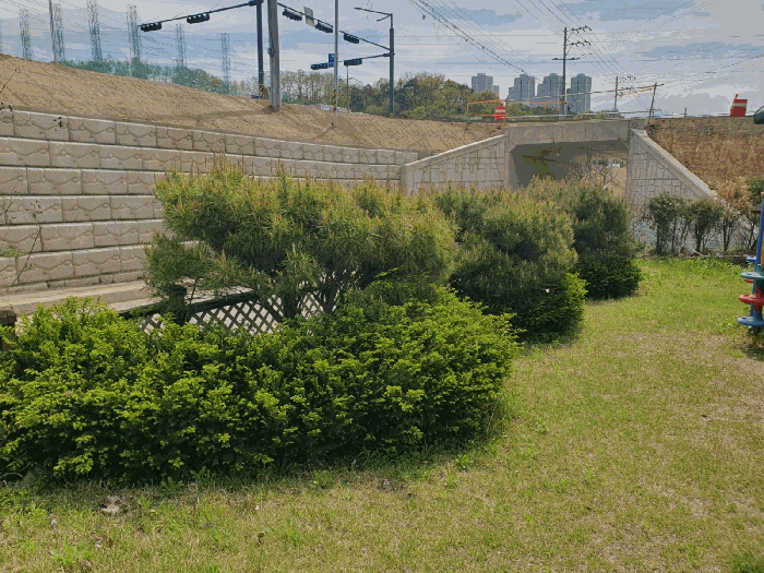 제시외 조경수(1-1)