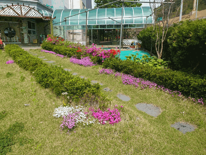 제시외 조경수(1-1)