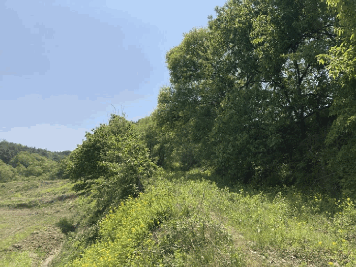 감정서 표지사진