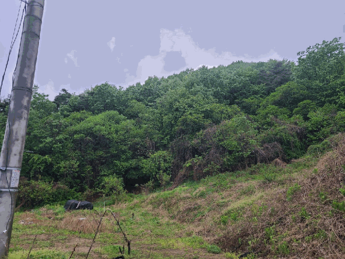 
[ 본건 기호(2,3) 전경 ]