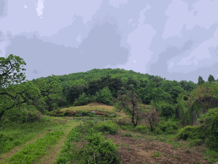 


[ 본건 주위 전경 ]