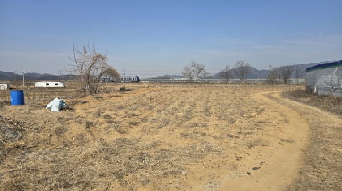 경북 칠곡군 약목면 무림리 638.지상의 전경