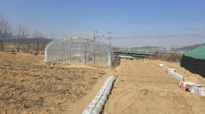 경북 칠곡군 약목면 무림리 639-2.지상의 제시외 비닐하우스의 전경