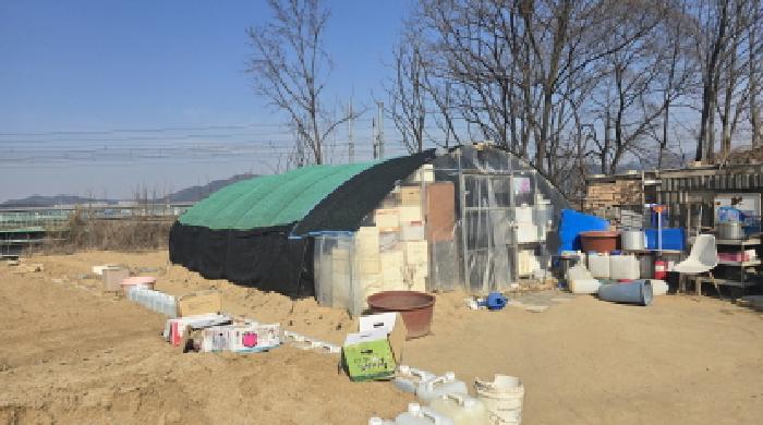 경북 칠곡군 약목면 무림리 639-2.지상의 제시외 비닐하우스의 전경