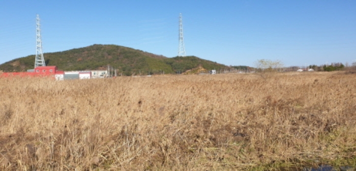 목적물 전체 전경(1)