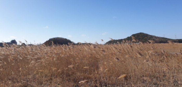 목적물 전체 전경(2)