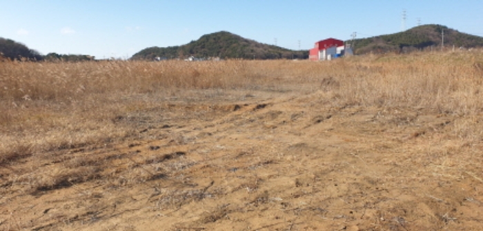 목록 1.5.8. 전경