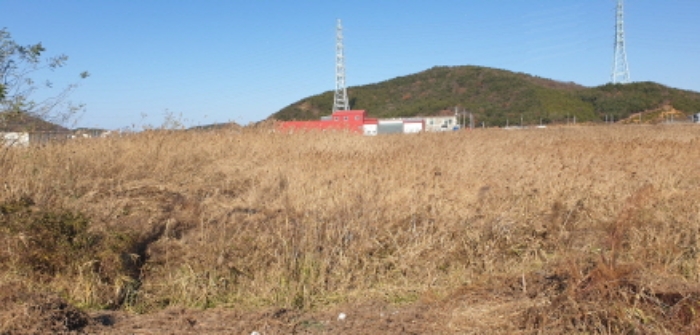 목록 2.6.7. 전경