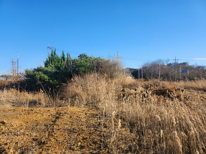 기호1)토지현황