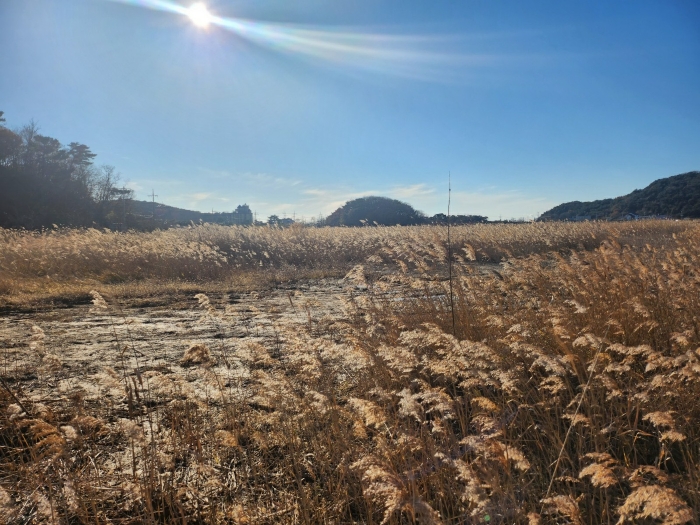 기호2,5,7)토지전경