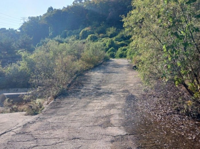 기호(2) 중 현황 도로 부분