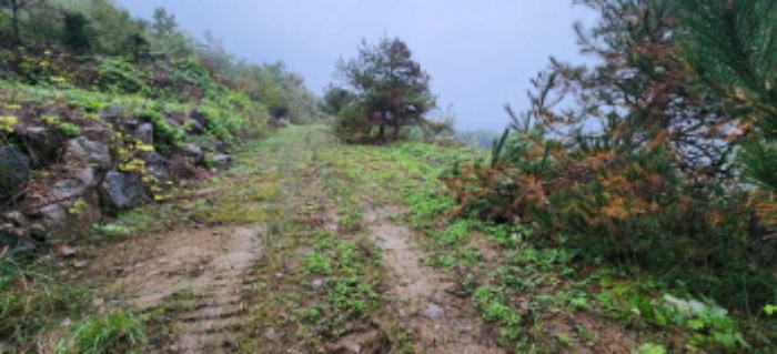 목록3 토지 전경2