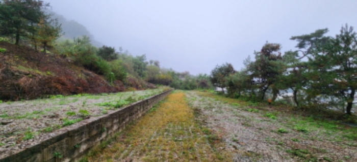 목록4 토지 전경2