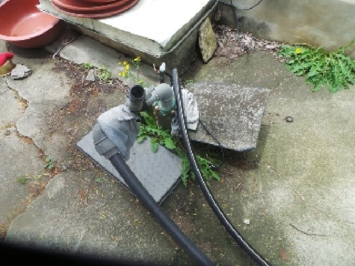 사진23번 [목록번호6번 소재하는 관정  전경]