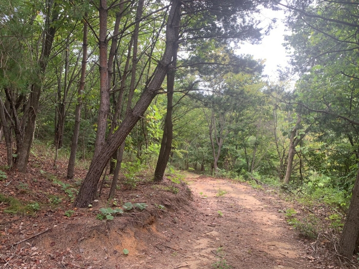 진입로(일련번호