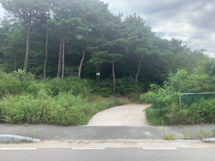 진입로(일련번호