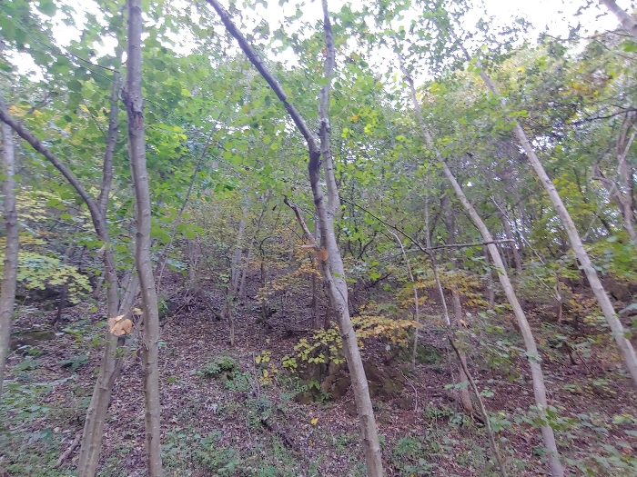 본건 내부(본건 북측)