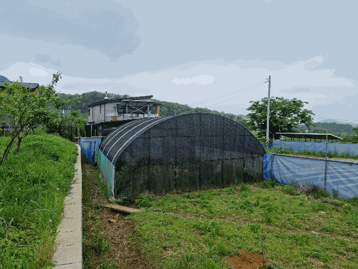 [기호 3토지 및 제시외 ㅂ(비닐하우스)]